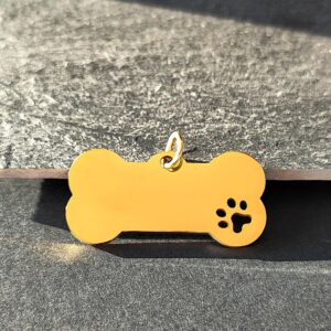 🐾 Médaille ou étiquette d’identification pour chien