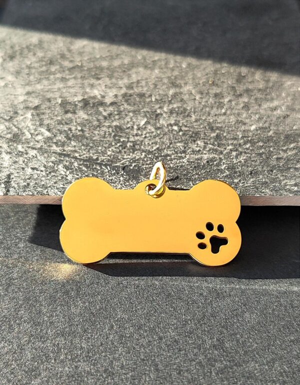 🐾 Médaille ou étiquette d’identification pour chien